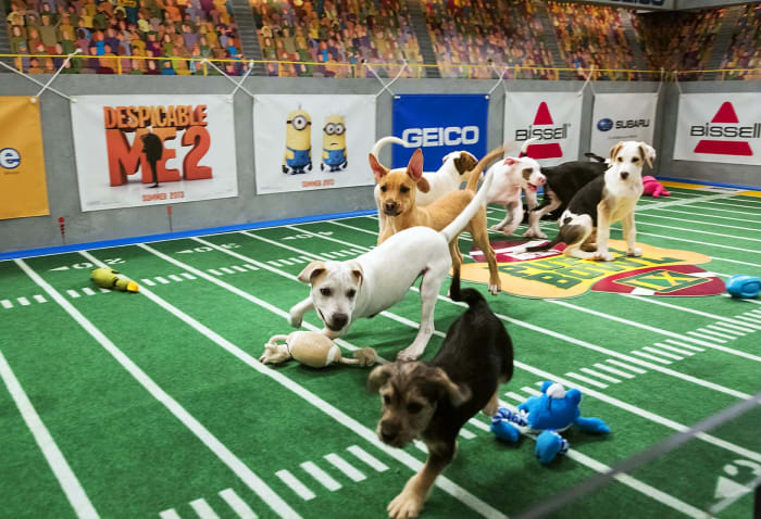 Puppy-Bowl-IX(1).jpg